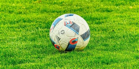 Toto betting explained: an ultimate guide with examples .
